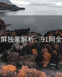 全网刷屏独家解析：91网全面盘点