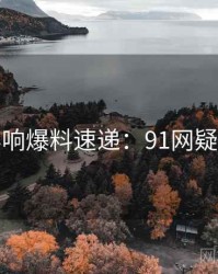 社交影响爆料速递：91网疑点解析
