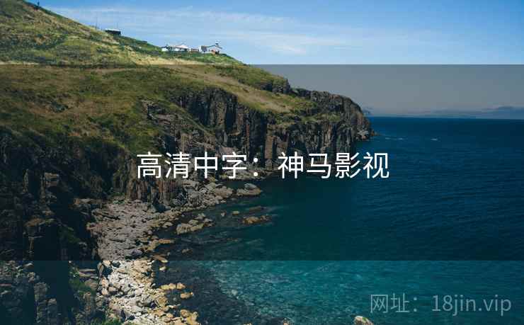 高清中字：神马影视