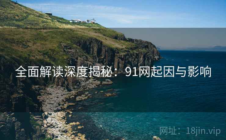 全面解读深度揭秘：91网起因与影响