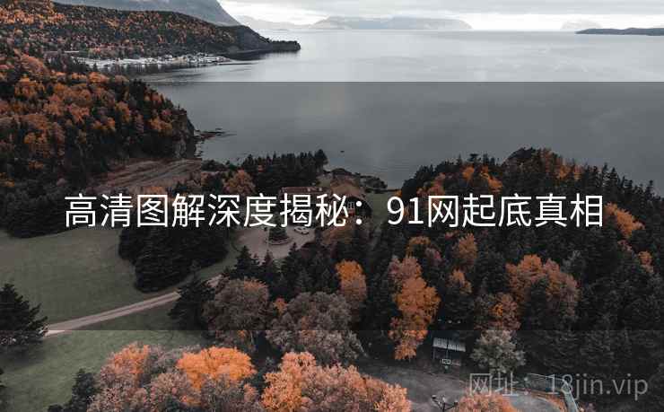 高清图解深度揭秘：91网起底真相