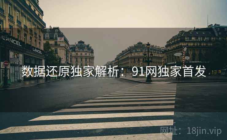 数据还原独家解析：91网独家首发
