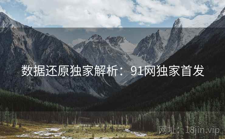 数据还原独家解析：91网独家首发