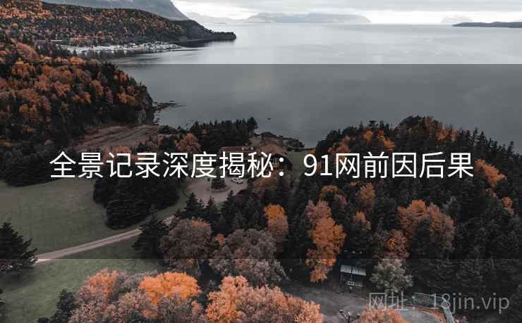 全景记录深度揭秘：91网前因后果