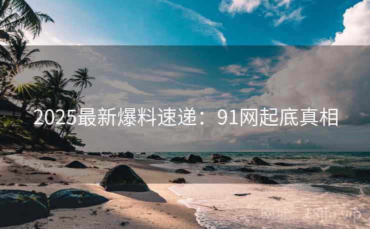 2025最新爆料速递：91网起底真相