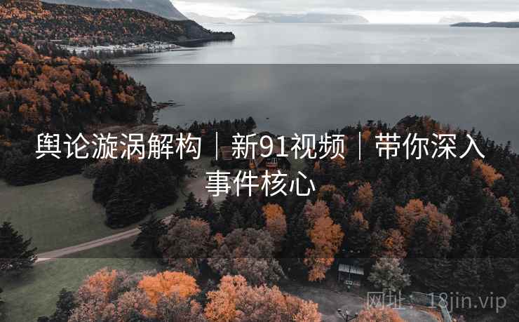 舆论漩涡解构｜新91视频｜带你深入事件核心